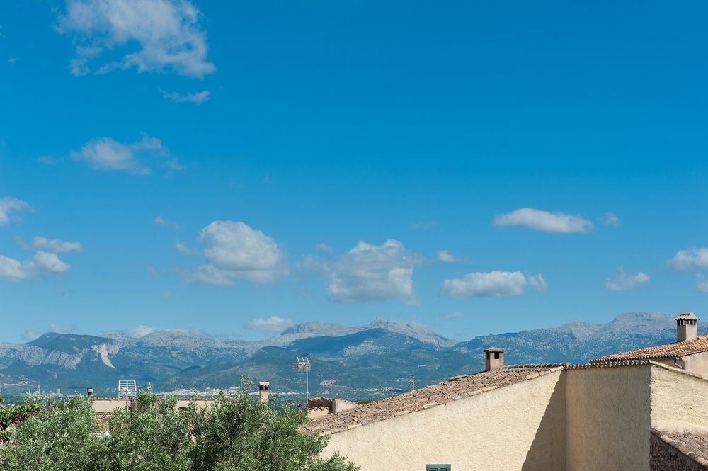 Voltor * Costitx (Mallorca)
