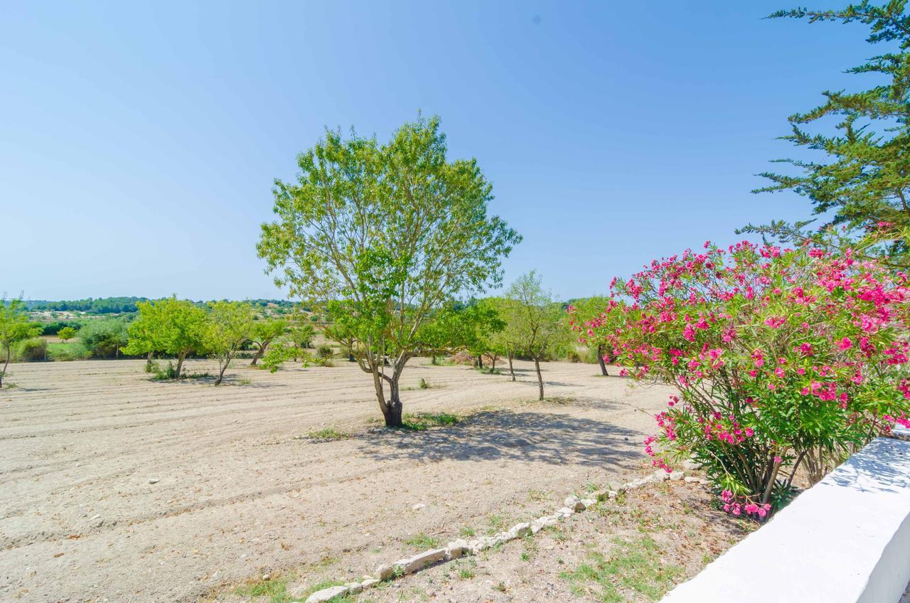 Chalet Sa Rota