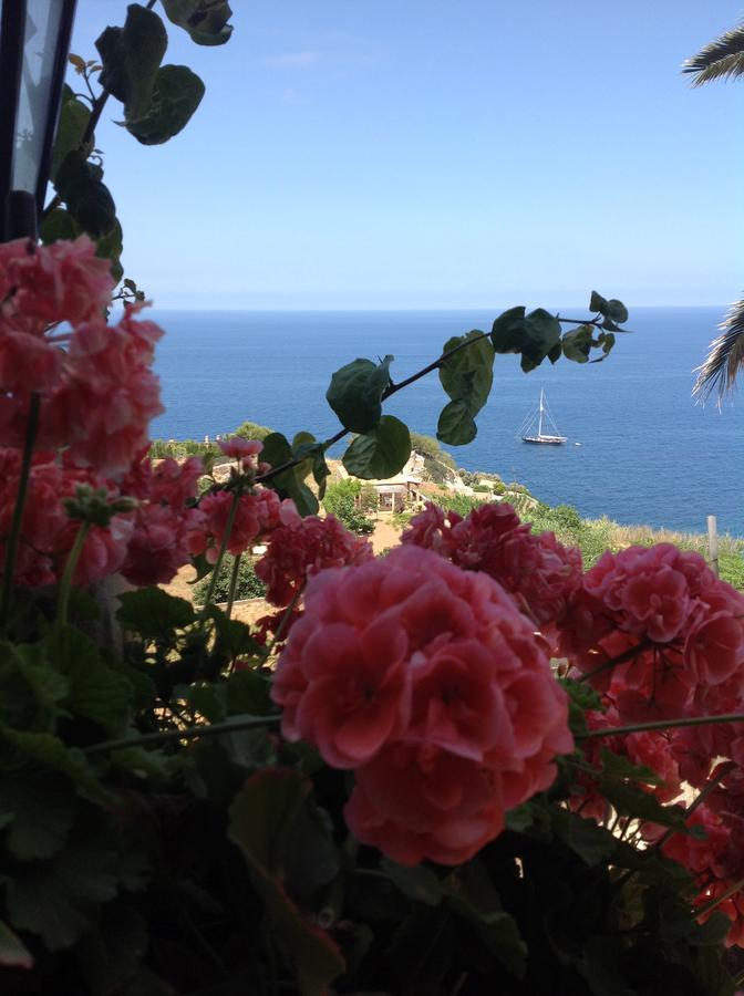 Mar I Vent Hotel Bañalbufar (Banyalbufar)