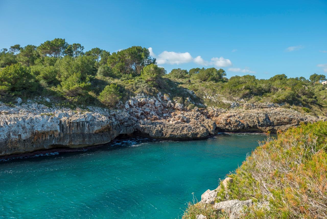 Murta * Porto Cristo