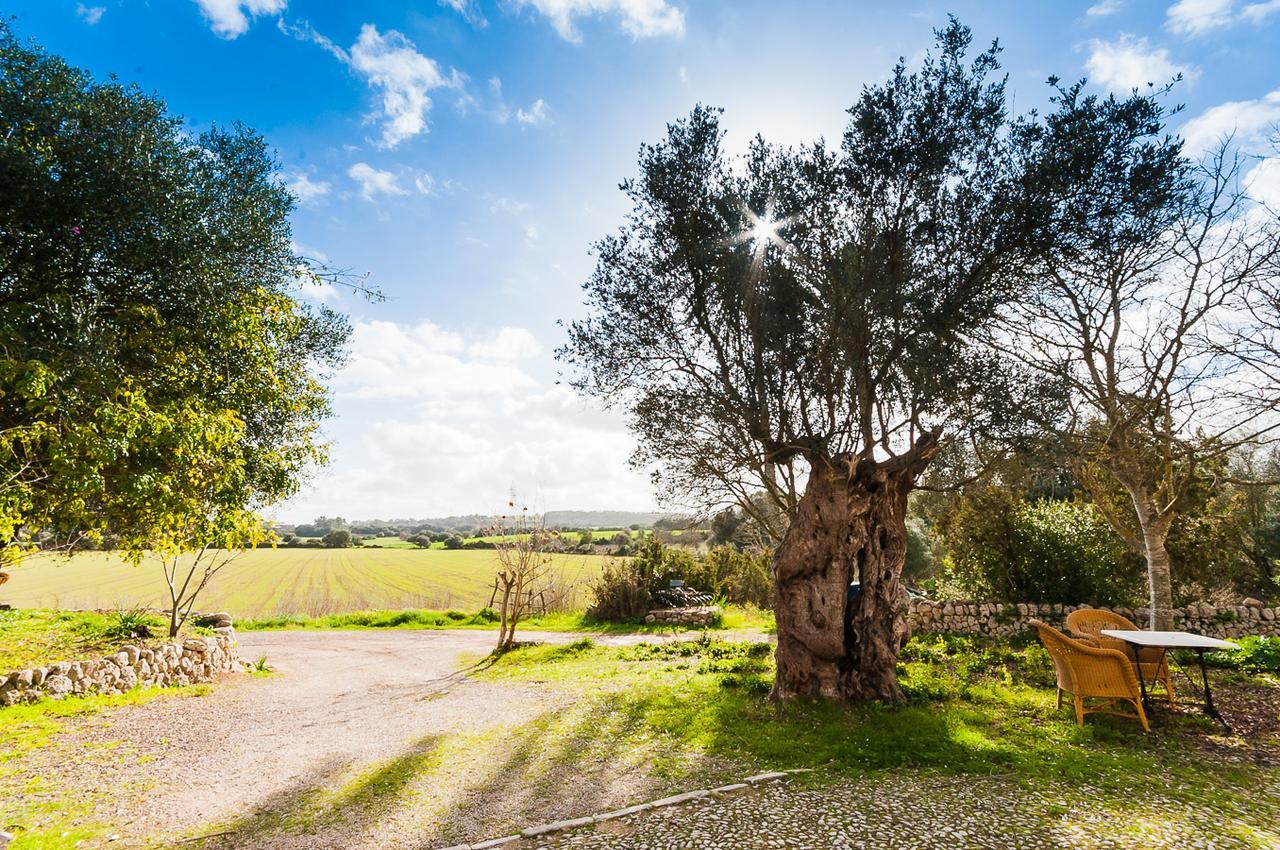 Sa Casa Rotja Agroturismo