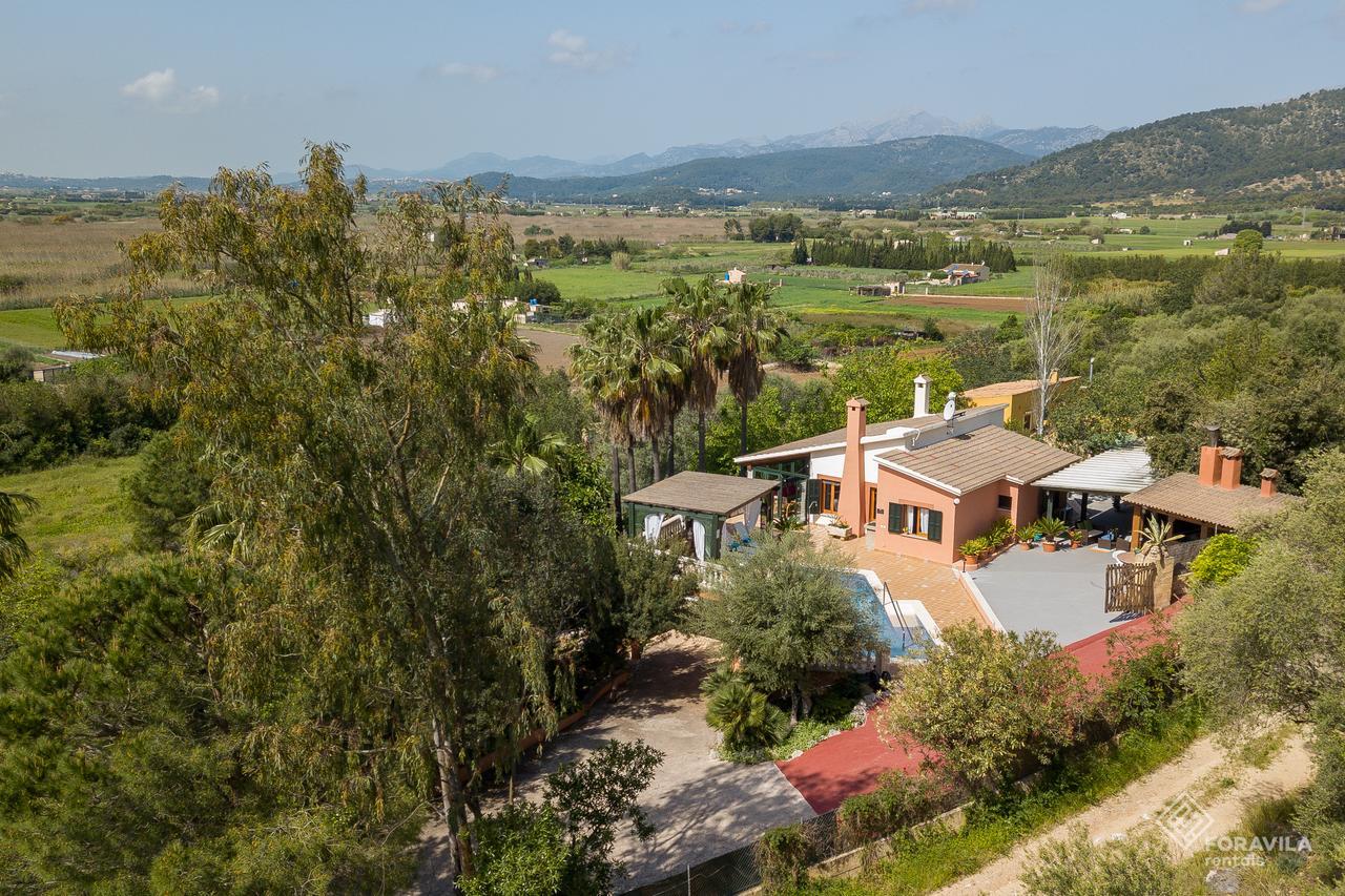 Marti Alcúdia