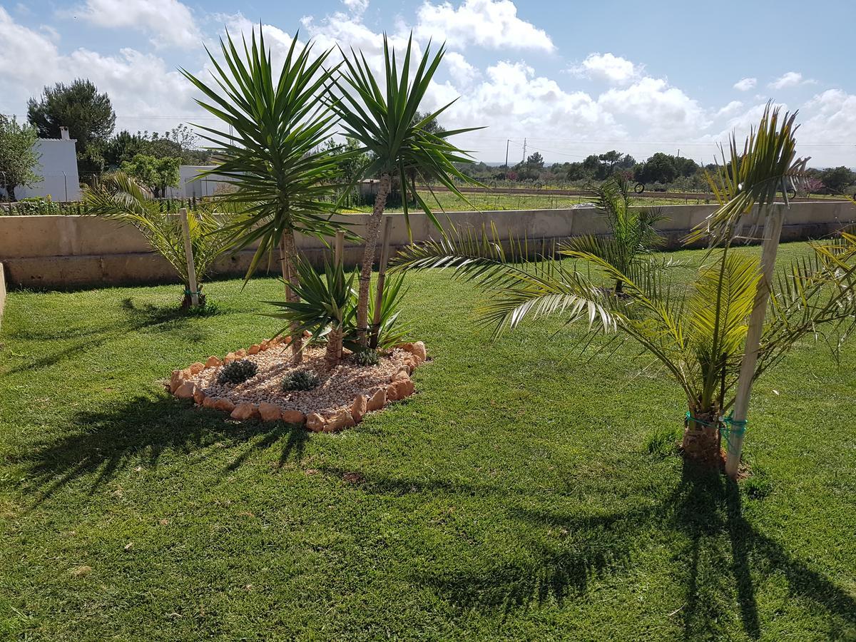 Hotel Alegria 4*