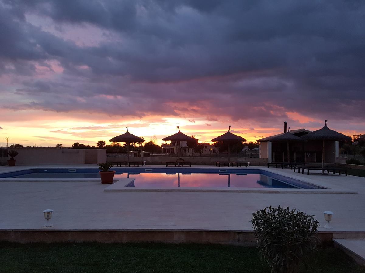 Alegria