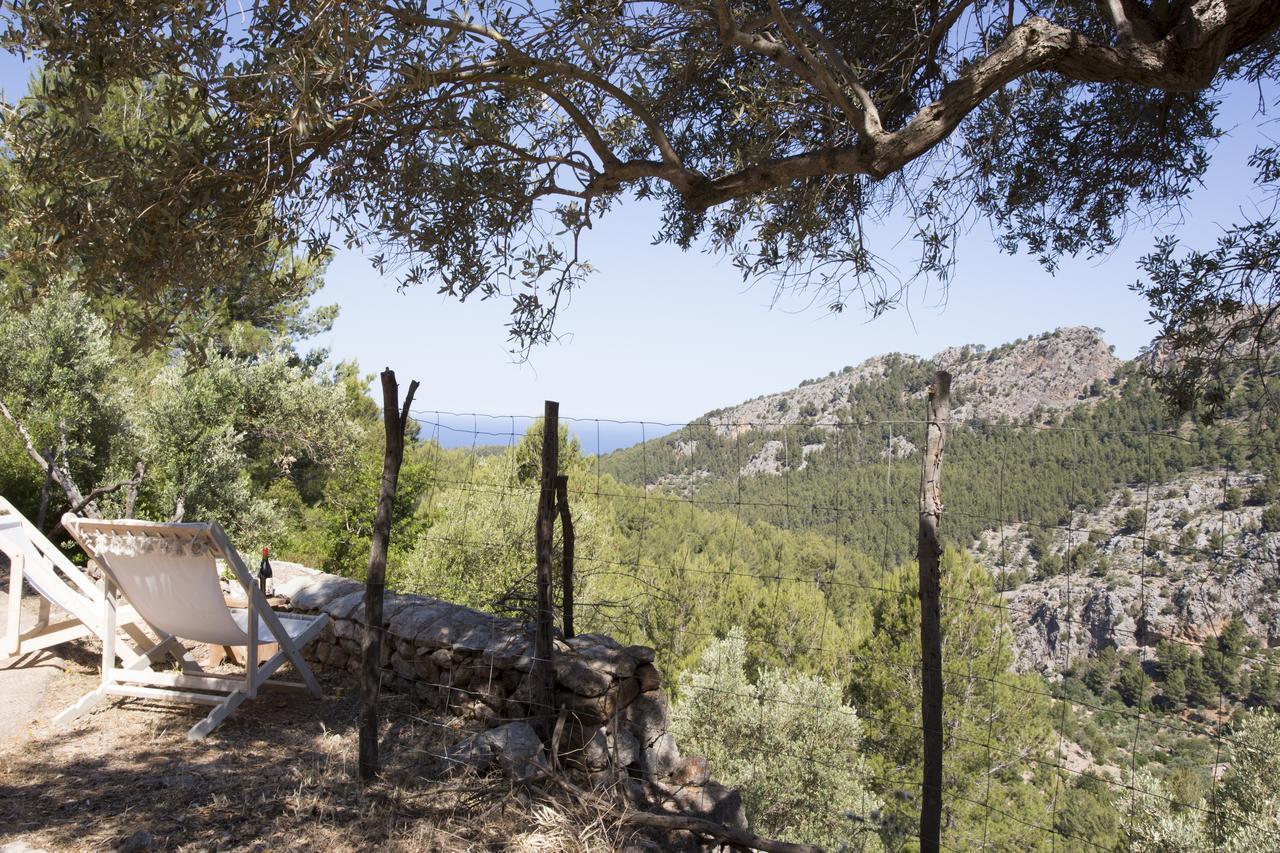 Es Coco, Soller *