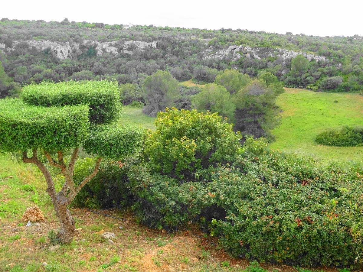 S'alqueria De Son Gual Villa La Aranjasa