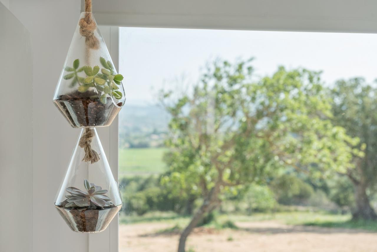 Farm stay Cas Cabo Nou Adults Only