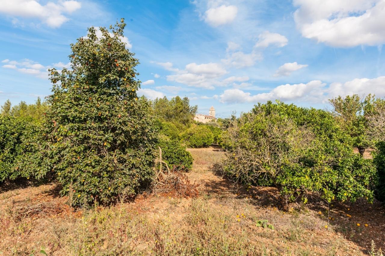 Villa Ses Covetes