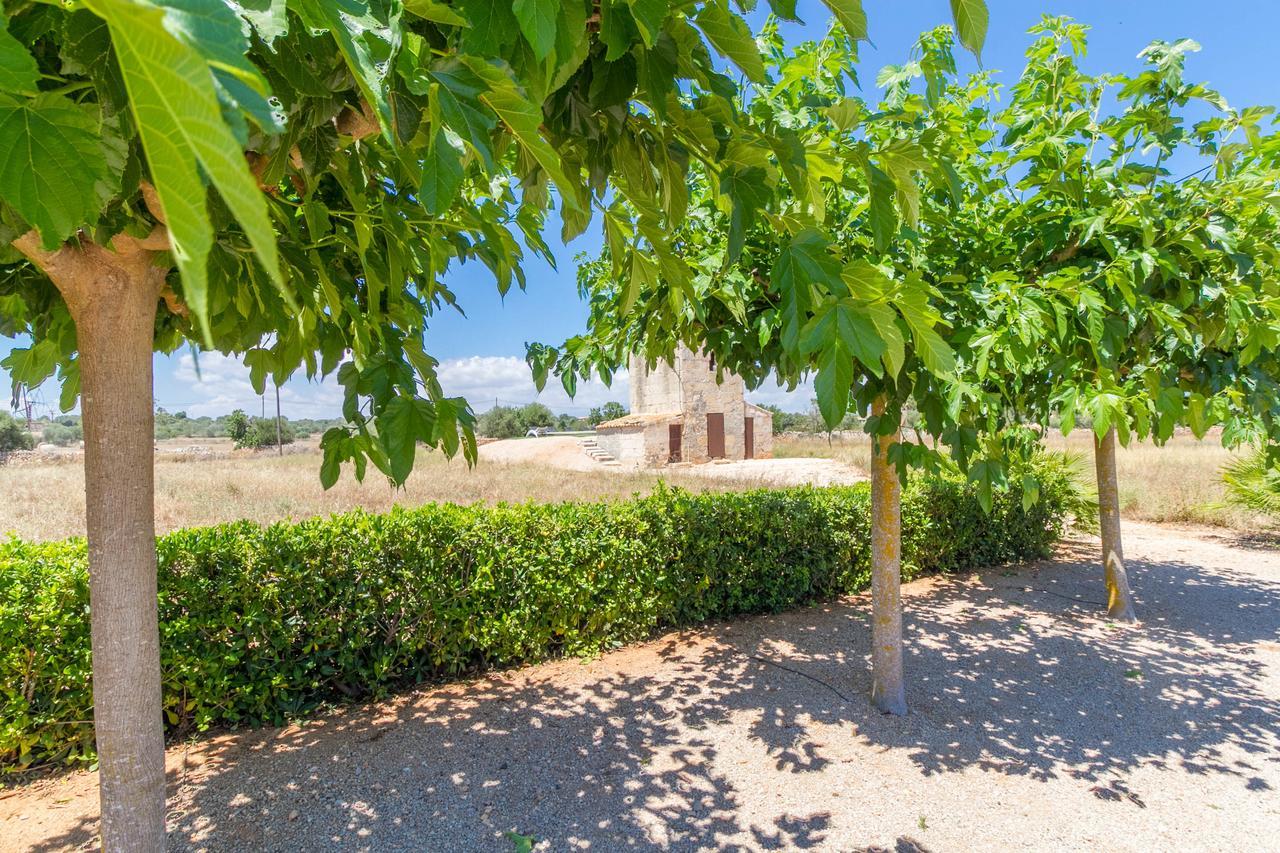 Сasa de vacaciones Finca Loft Can Moreno Es Trenc *