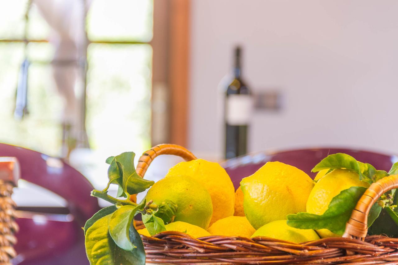 Finca Loft Can Moreno Es Trenc * Las Salinas