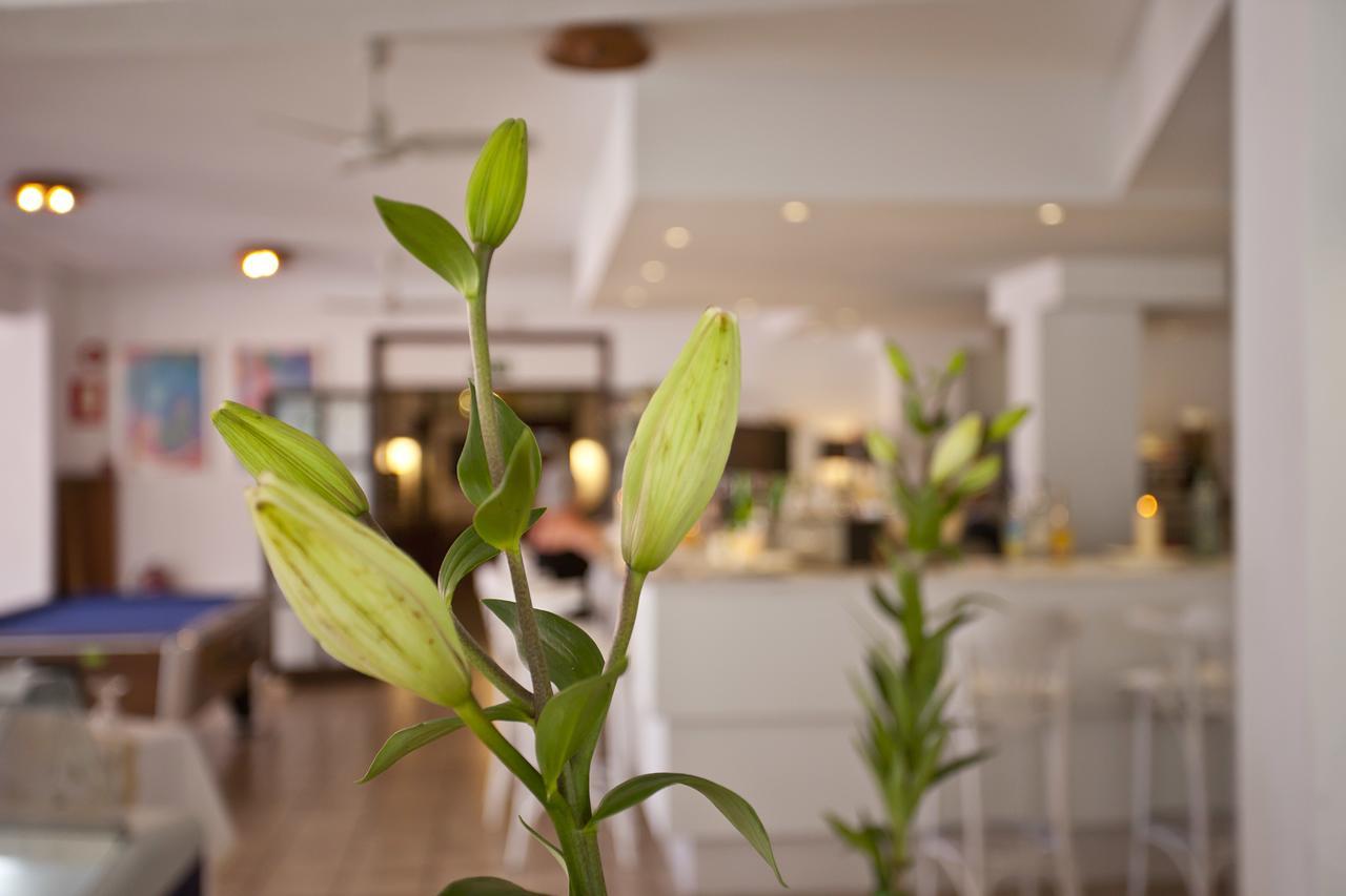Hotel Galaxia Boutique