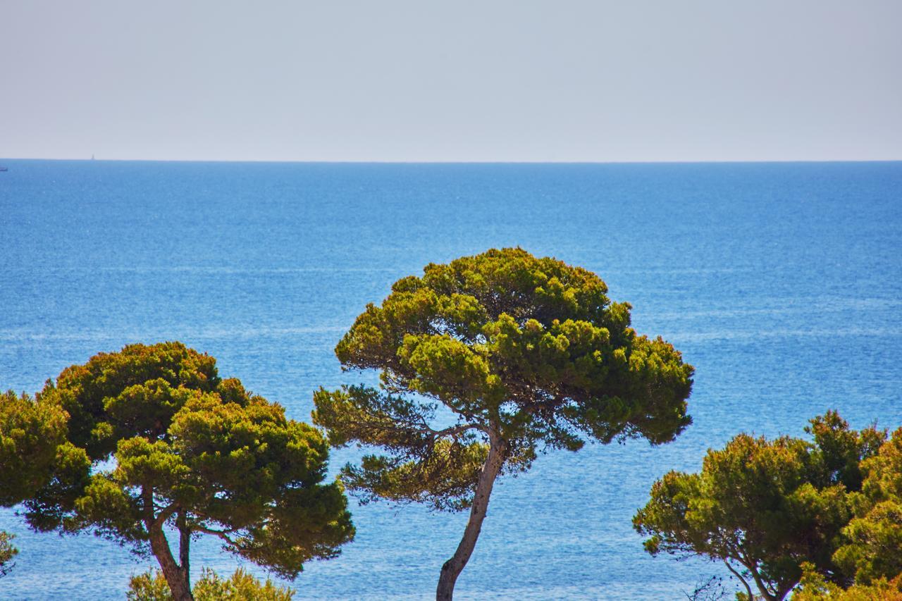 Hotel Petit Ses Rotges - Only Adults Cala Ratjada (Mallorca)
