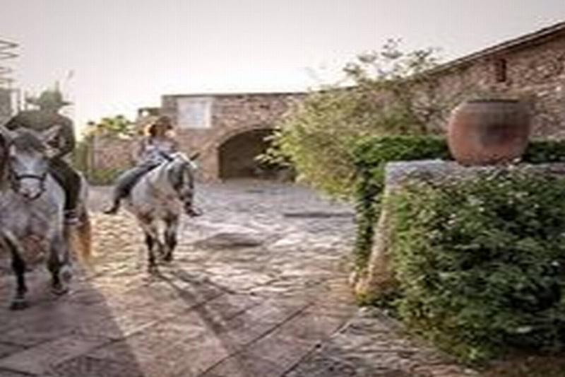 Sa Bassa Rotja Ecoturisme Casa rural Porreras
