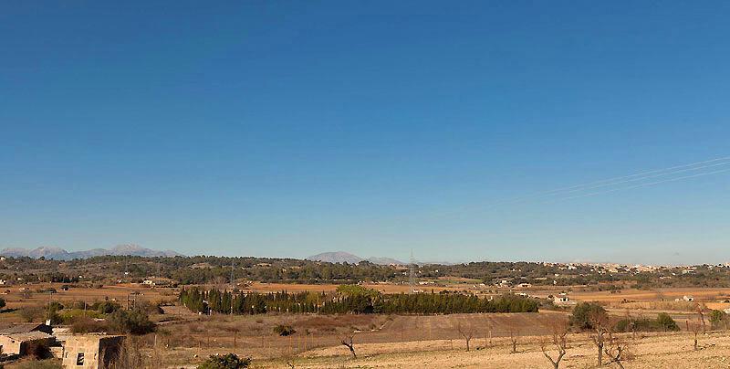 Finca Son Alcaines *