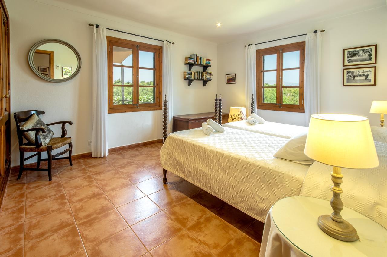 Alzina Alcúdia