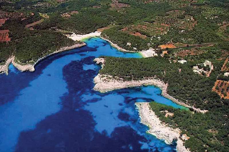 Niu D'aus 3* Portopetro