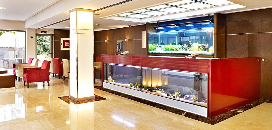 Mll Mediterranean Bay - Adults Only Hotel El Arenal (Mallorca)