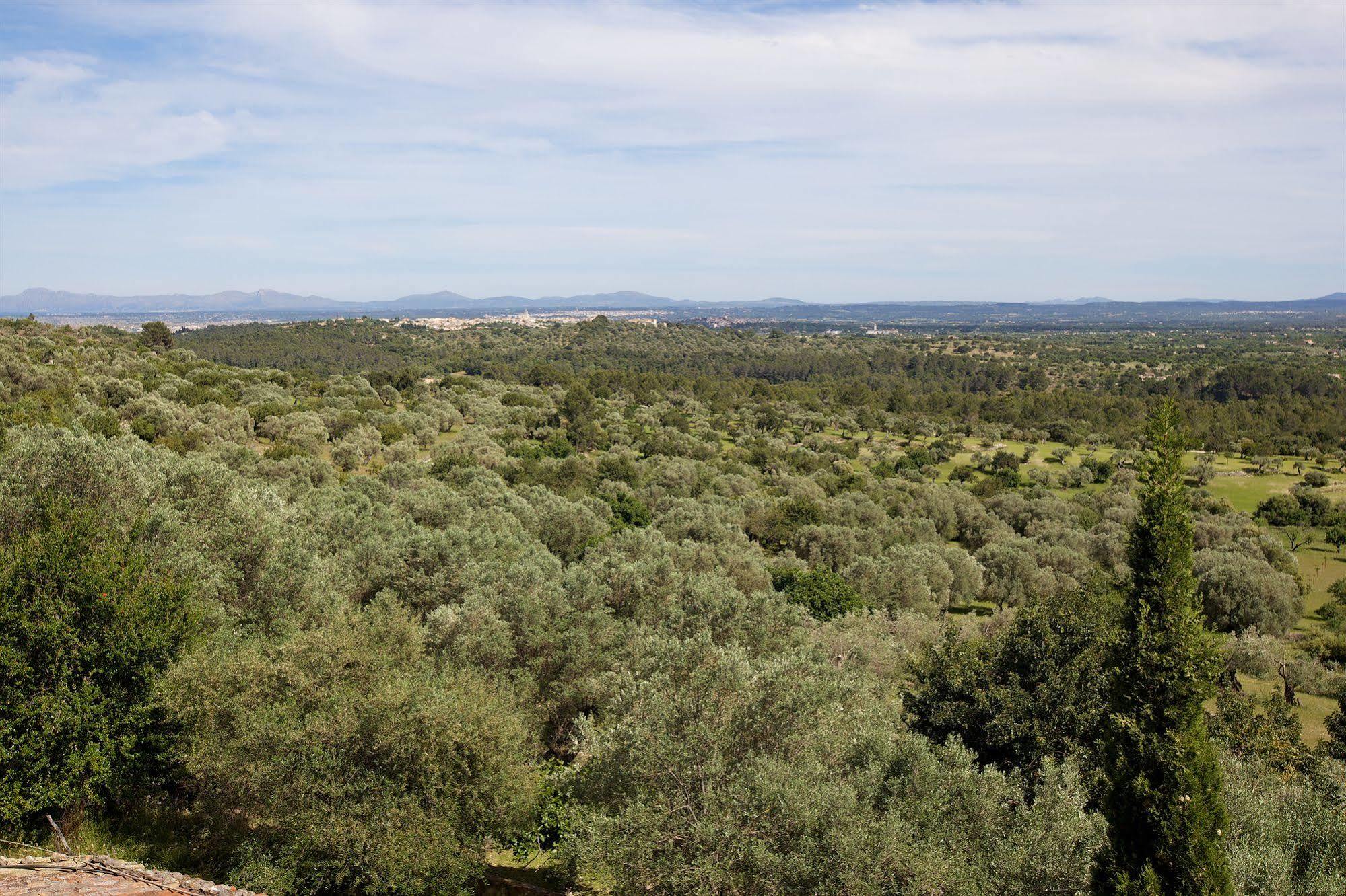 Es Castell