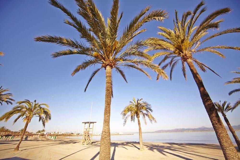 Mll Mediterranean Bay - Adults Only El Arenal (Mallorca)