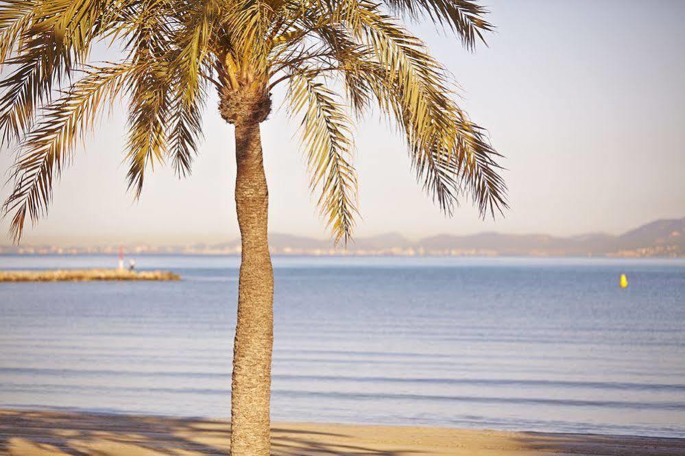Hotel Mll Mediterranean Bay - Adults Only El Arenal (Mallorca)