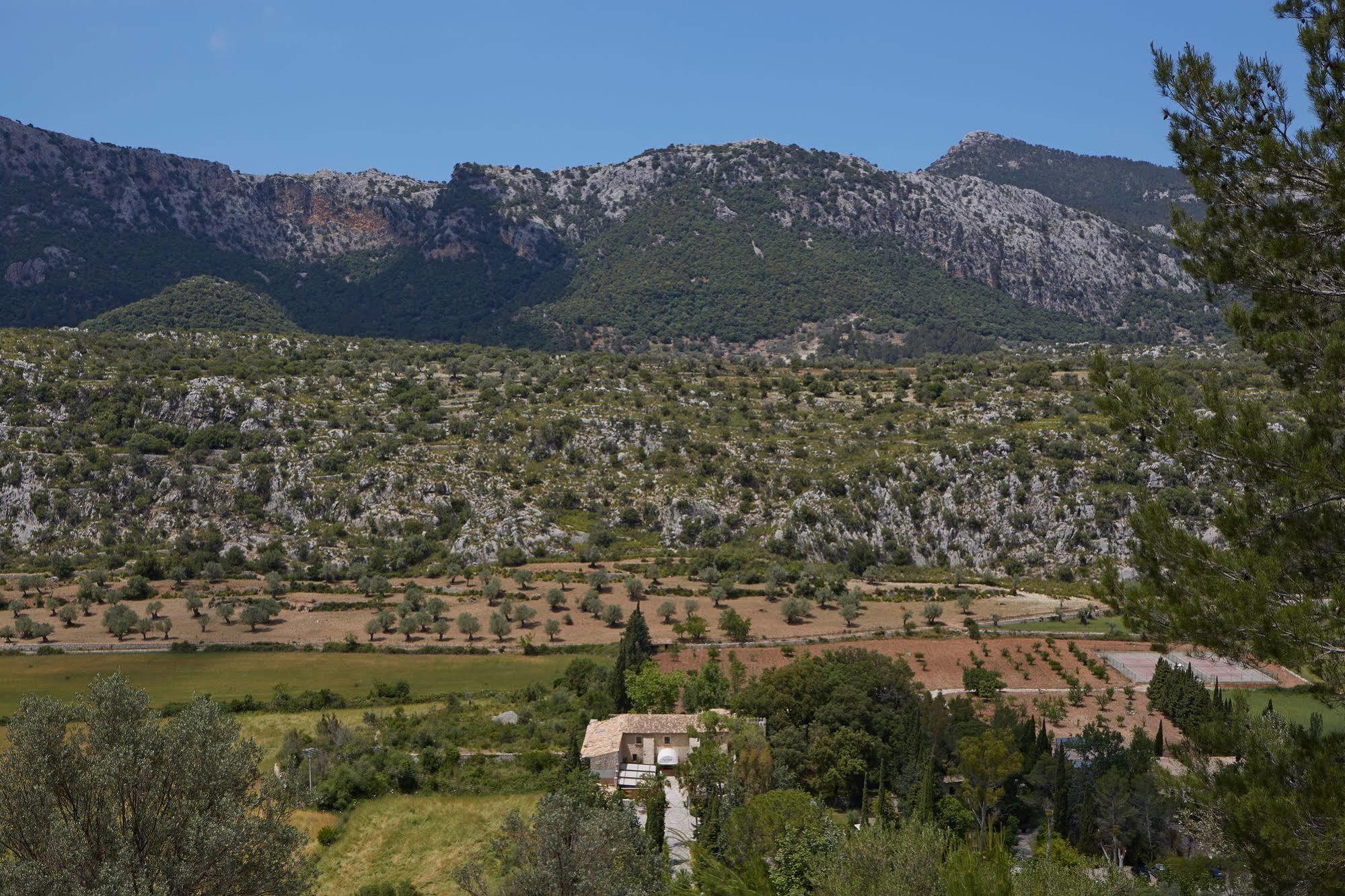 L'hermitage & 4*