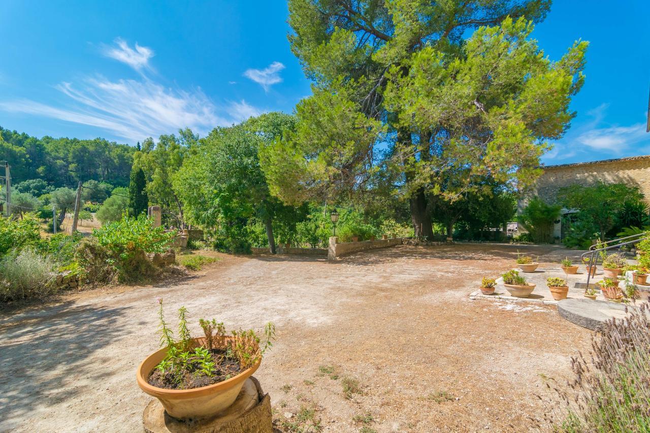 La Bisbal Villa *