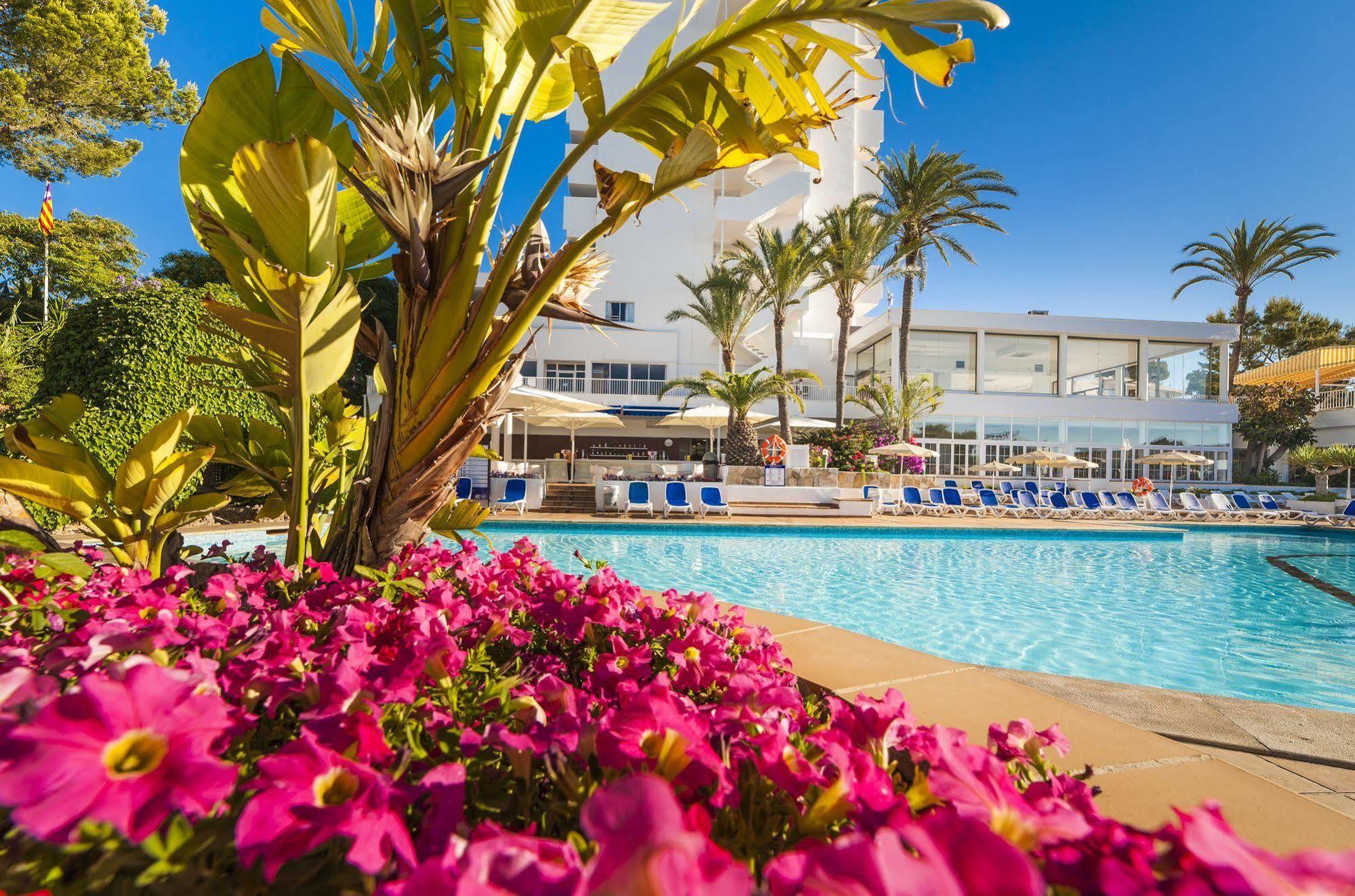 Hotel Globales Mimosa