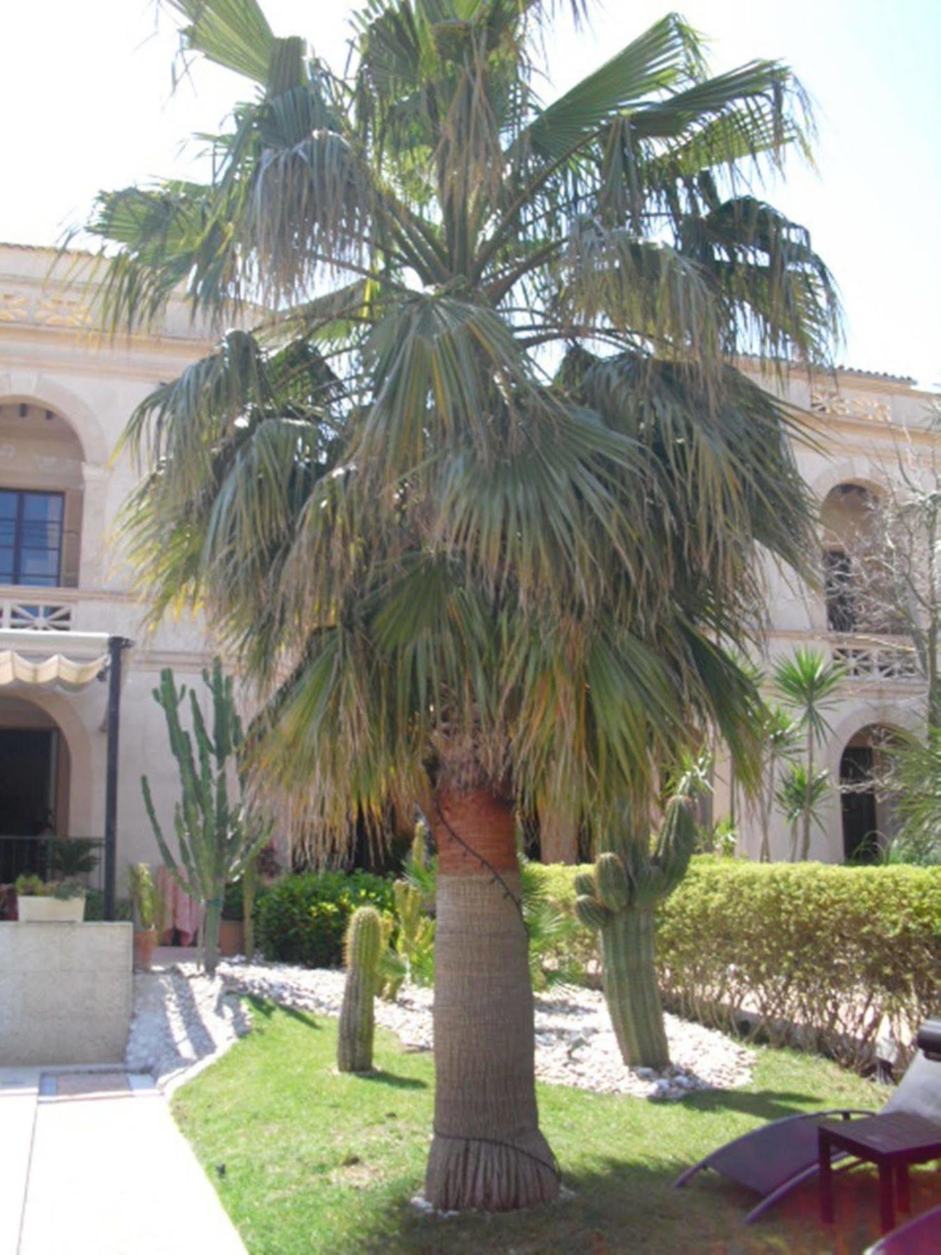 Hotel Palacio Sant Salvador