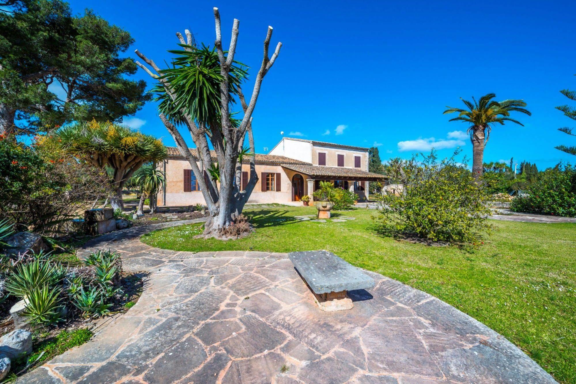 Villa Cirerol *