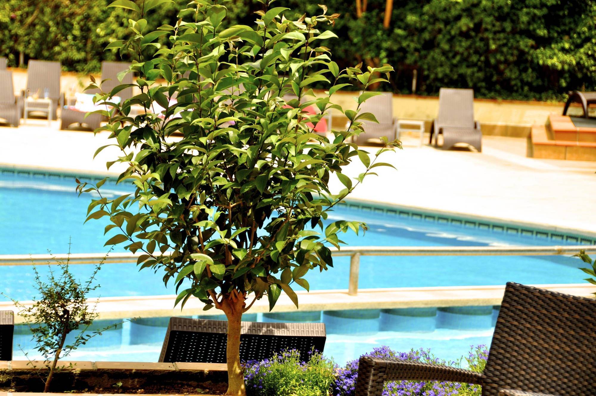 Hotel Ipanema Park 3*