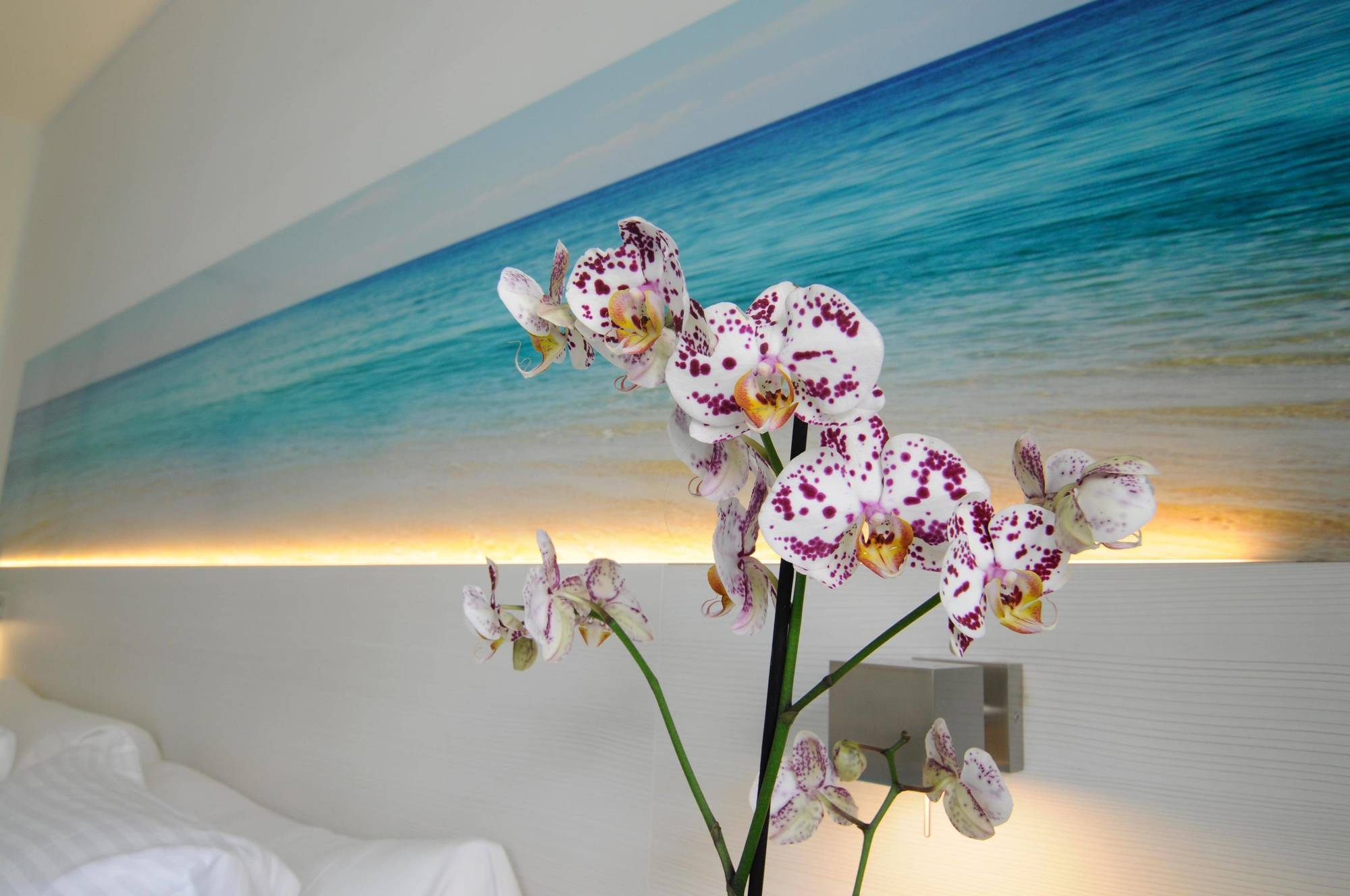 Ipanema Park 3* El Arenal (Mallorca)