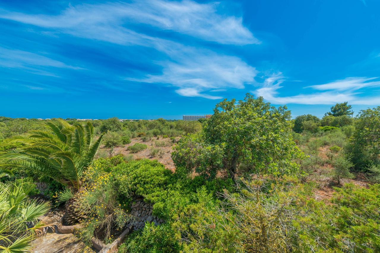 Barcelo-danus Holiday home
