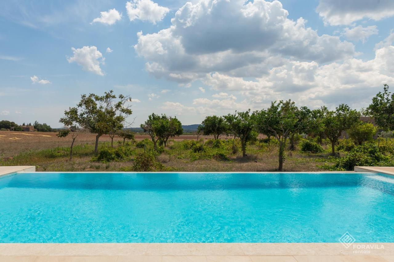 Tano * Inca (Mallorca)