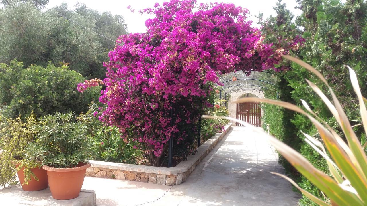 Primera Aparthotel Cala Figuera (Mallorca)