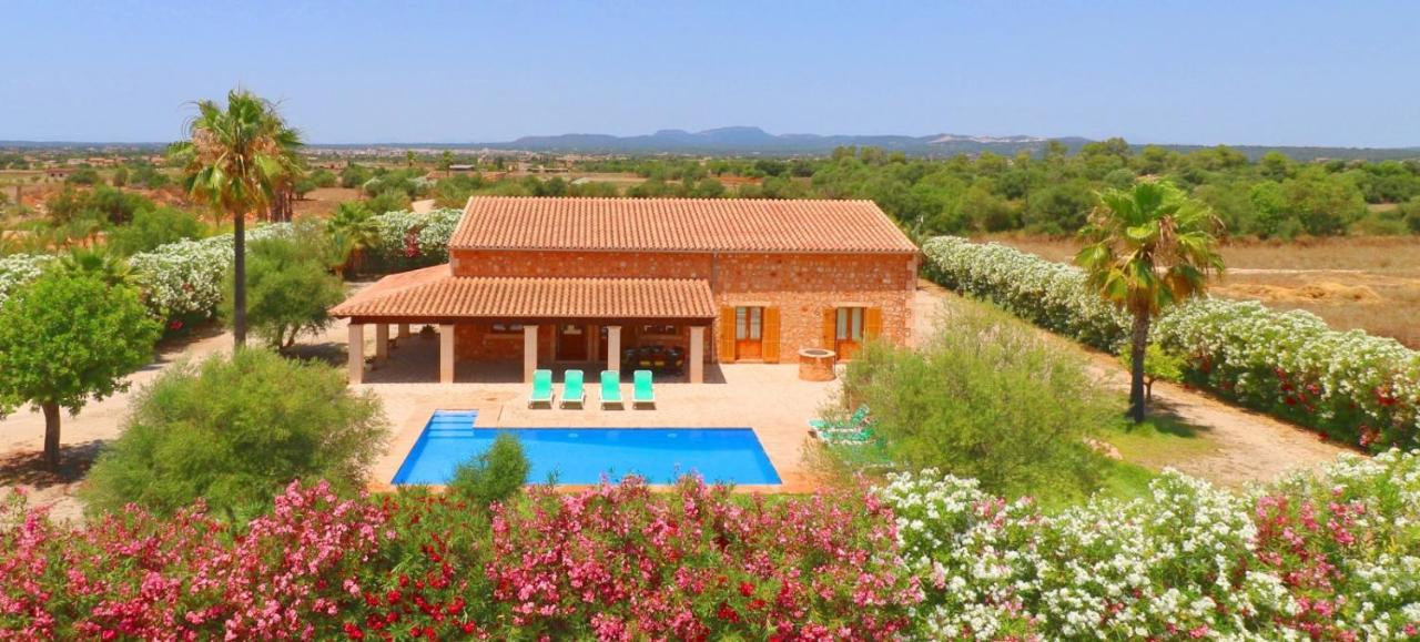 Sa Vinya Campos (Mallorca)