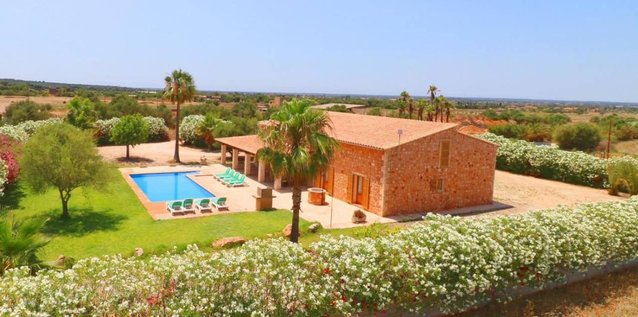 Villa Sa Vinya