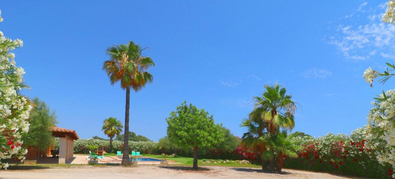 Sa Vinya Campos (Mallorca)