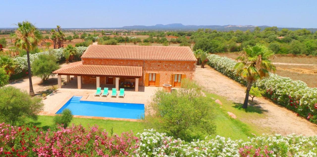 Sa Vinya * Campos (Mallorca)