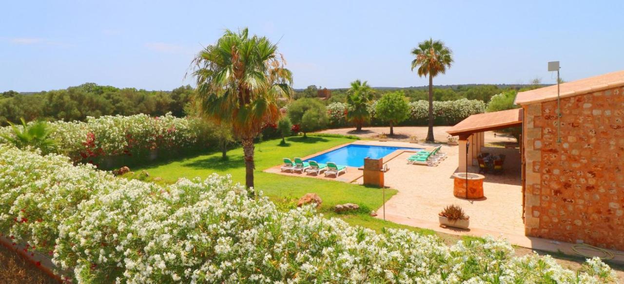 Sa Vinya Villa Campos (Mallorca)
