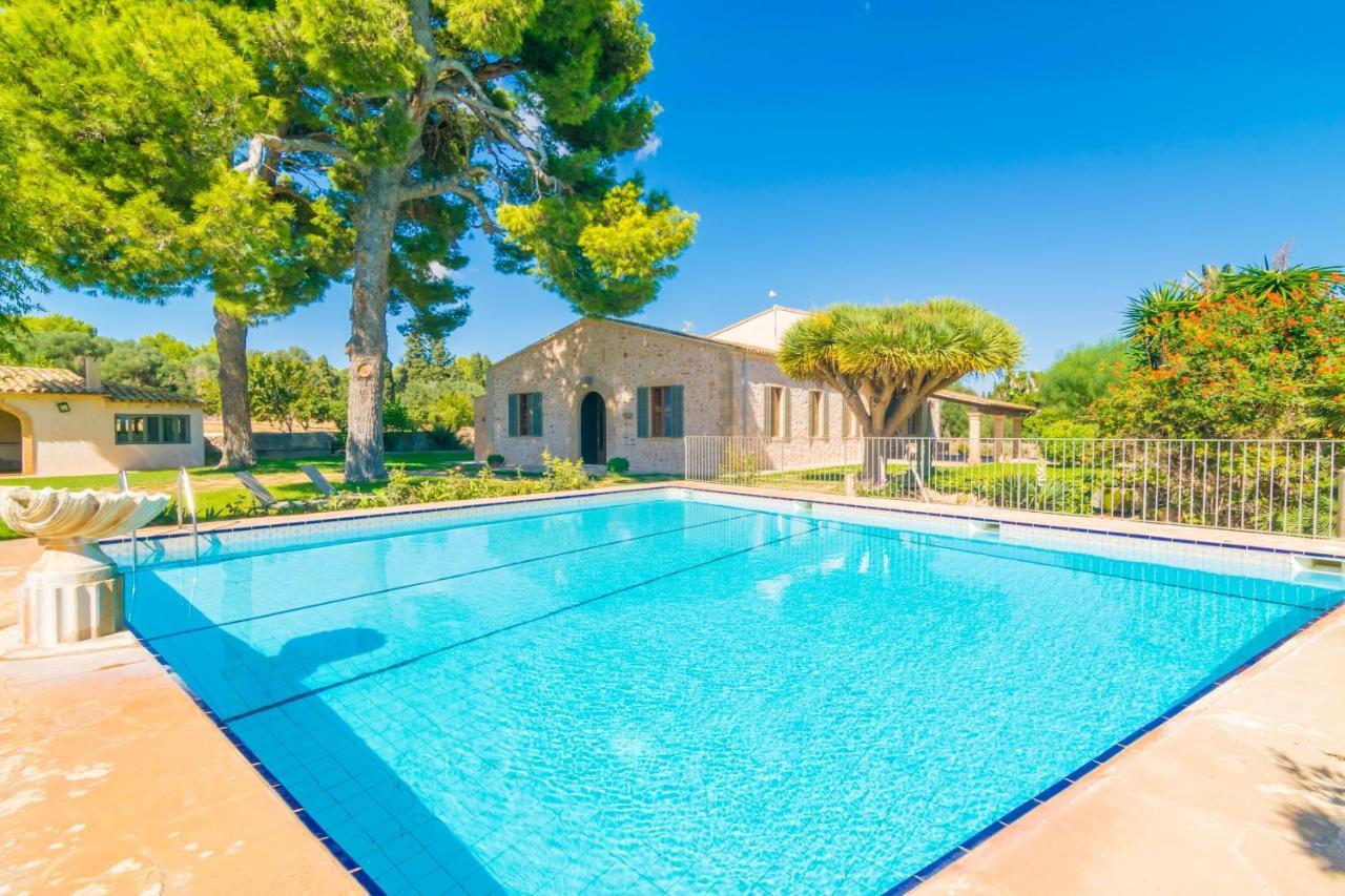 Villa Cirerol