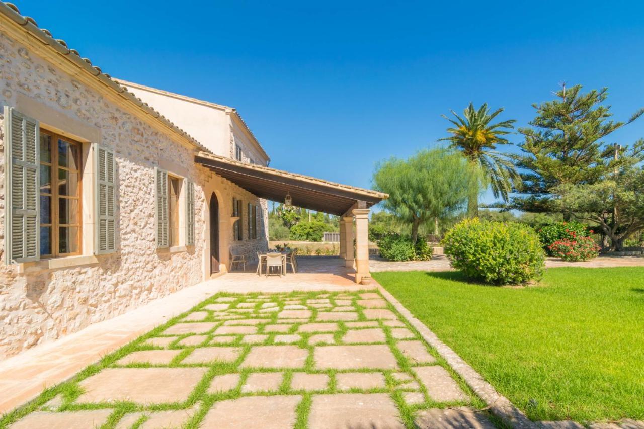 Cirerol Portocolom (Mallorca)