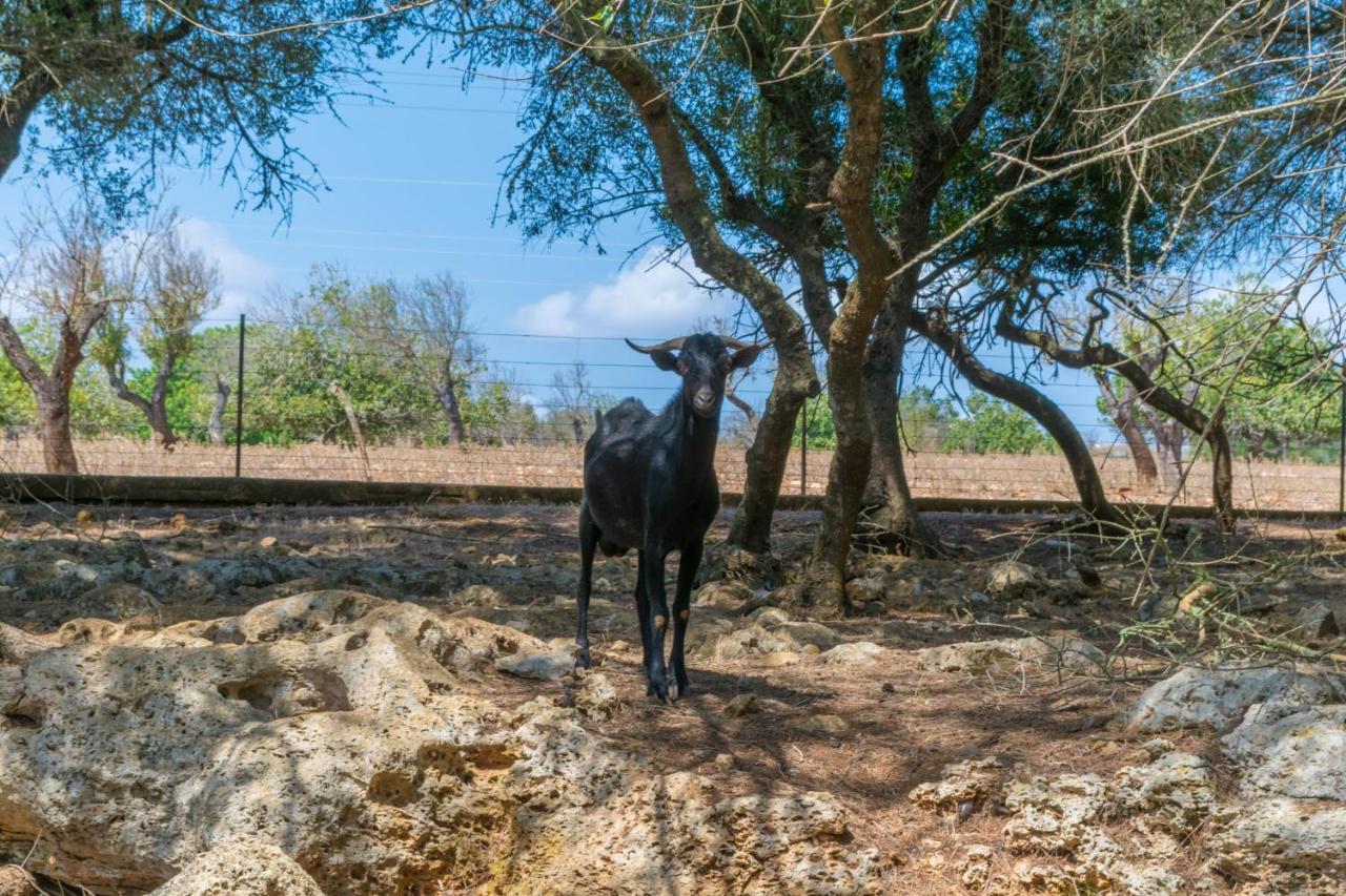 Holiday home Finca Son Baulo Santa Margalida