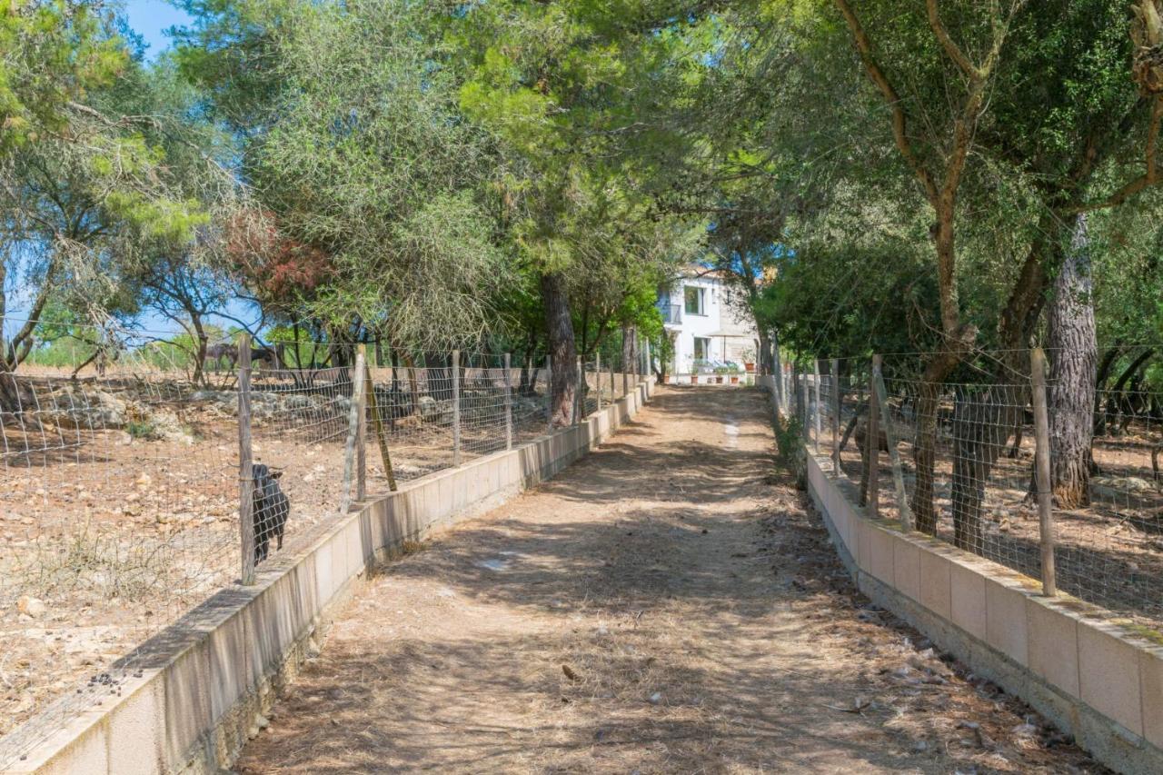 Finca Son Baulo *
