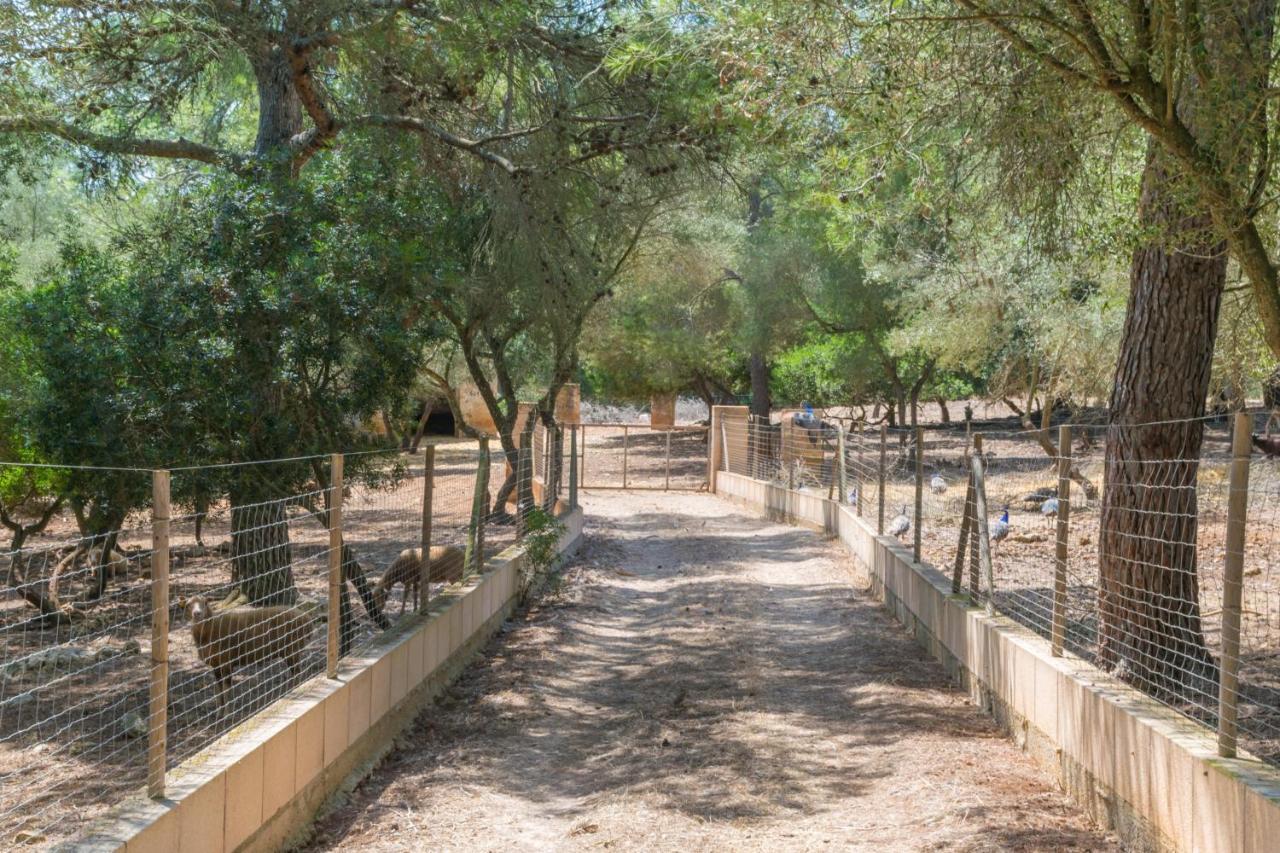 Holiday home Finca Son Baulo