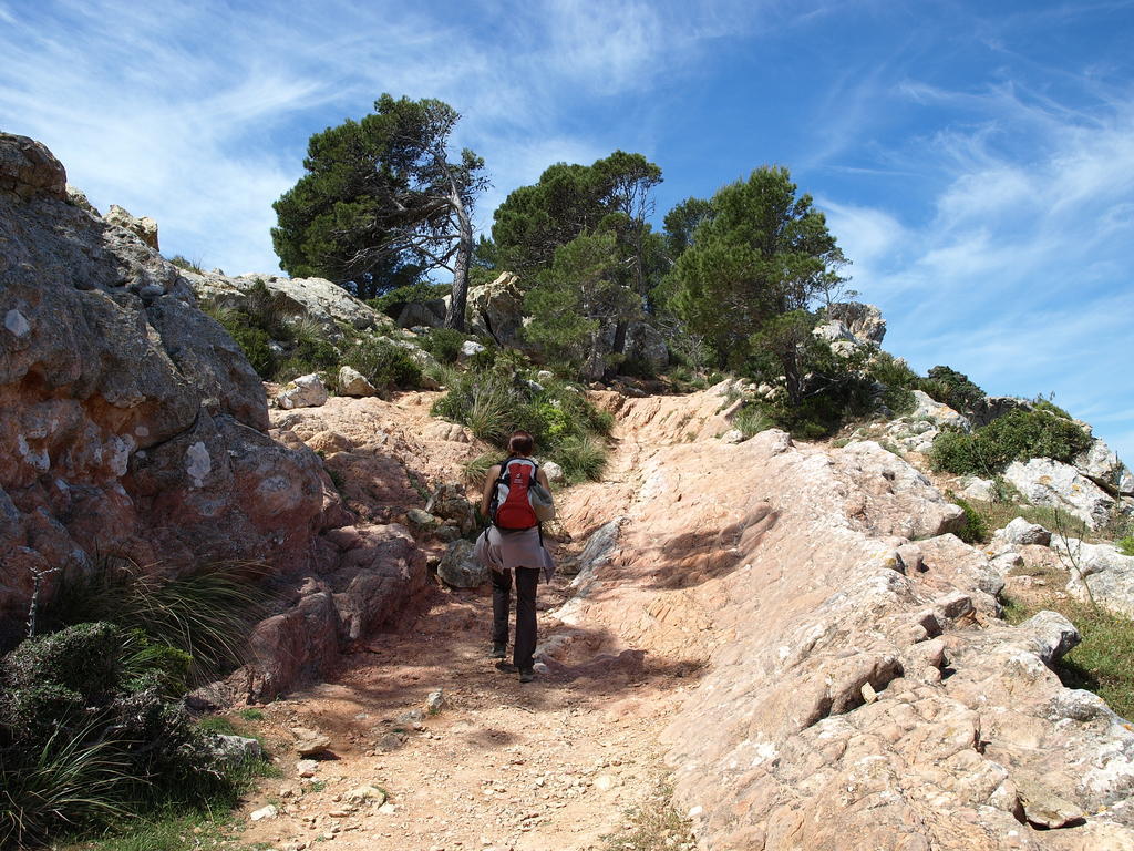Petit 3* Alaró