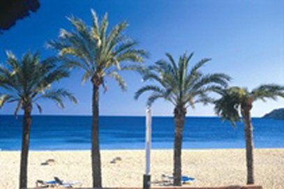 Hsm Atlantic Park 4* Magaluf (Mallorca)