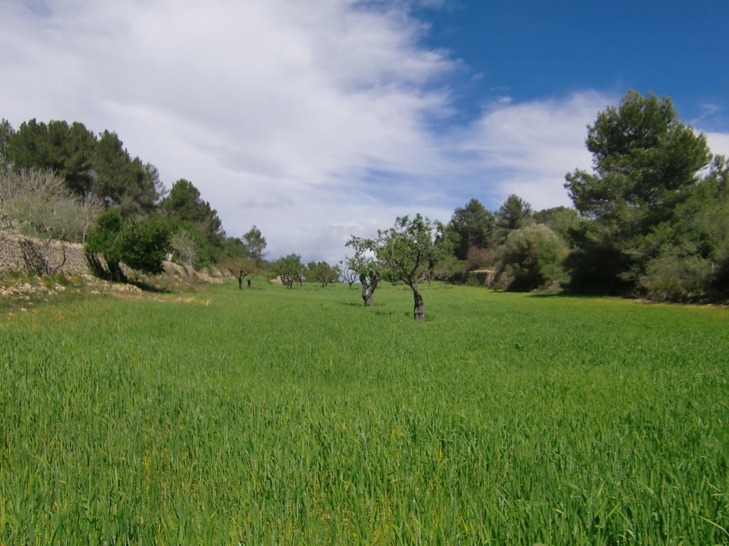 Casa rural Perola - Only Adults
