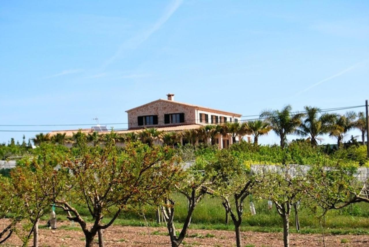 Villa Es Vinyet By Priority *