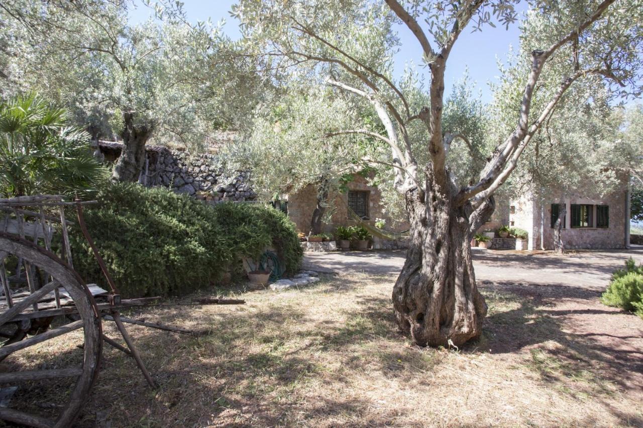 Villa Es Coco, Soller Puerto de Sóller