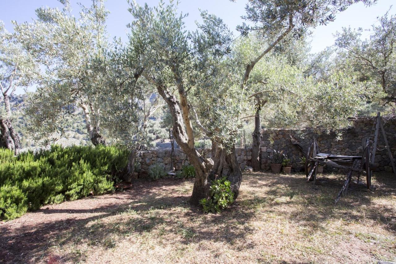 Es Coco, Soller Puerto de Sóller